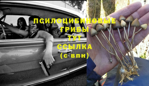 амфетамин Новокубанск